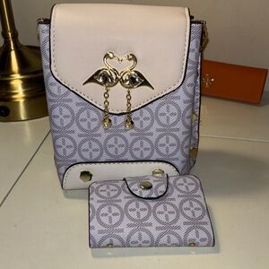 Elegant Cream and Gray Designer Women's Bag Set